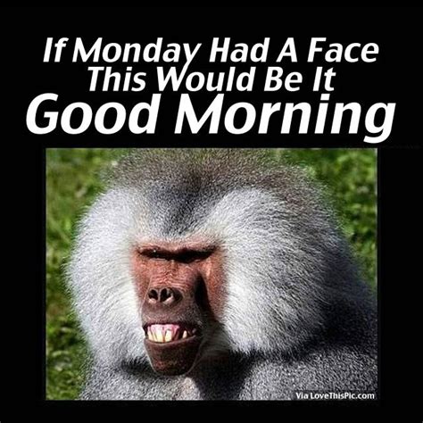 funny fb monday morning quotes and sayings